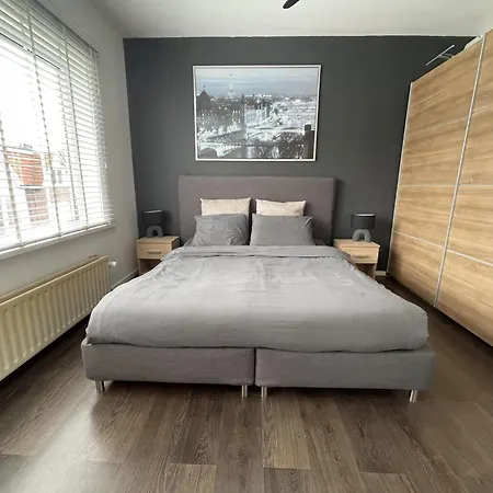 Palm House * Zandvoort